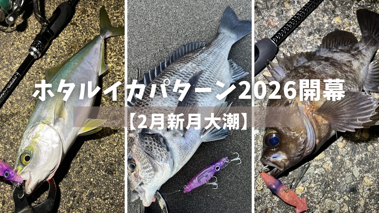 ホタルイカパターン2026開幕アイキャッチ