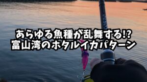 アイキャッチ（ホタルイカパターン）