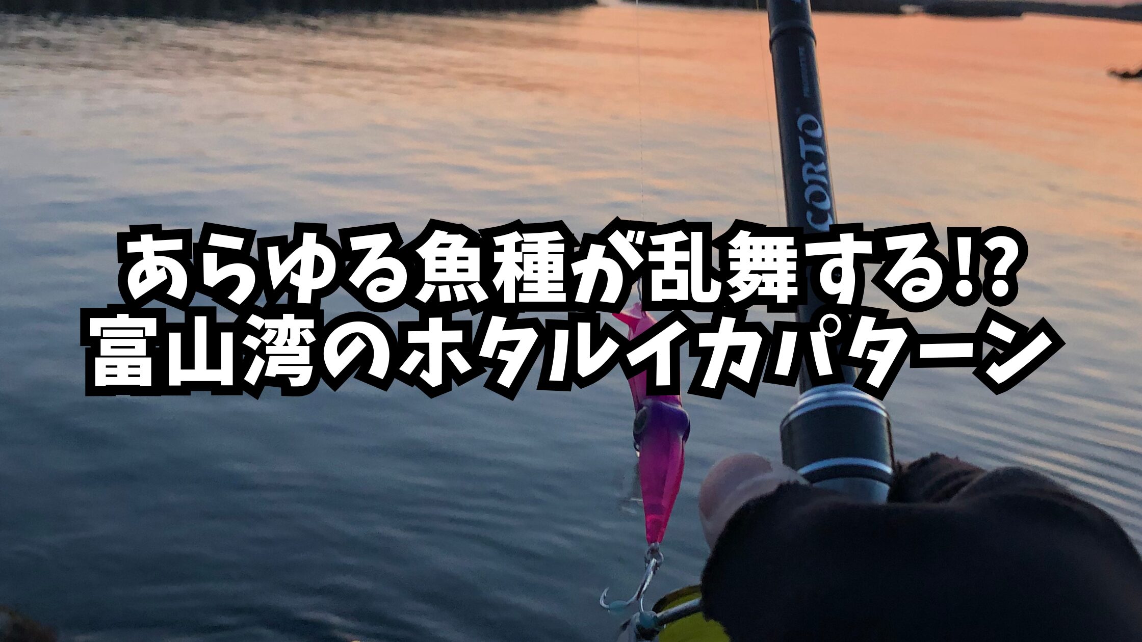 アイキャッチ（ホタルイカパターン）