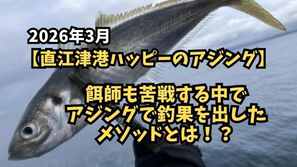 【直江津ハッピーのアジング】餌師も苦戦する状況で釣果を出したヒットパターンのアイキャッチ画像