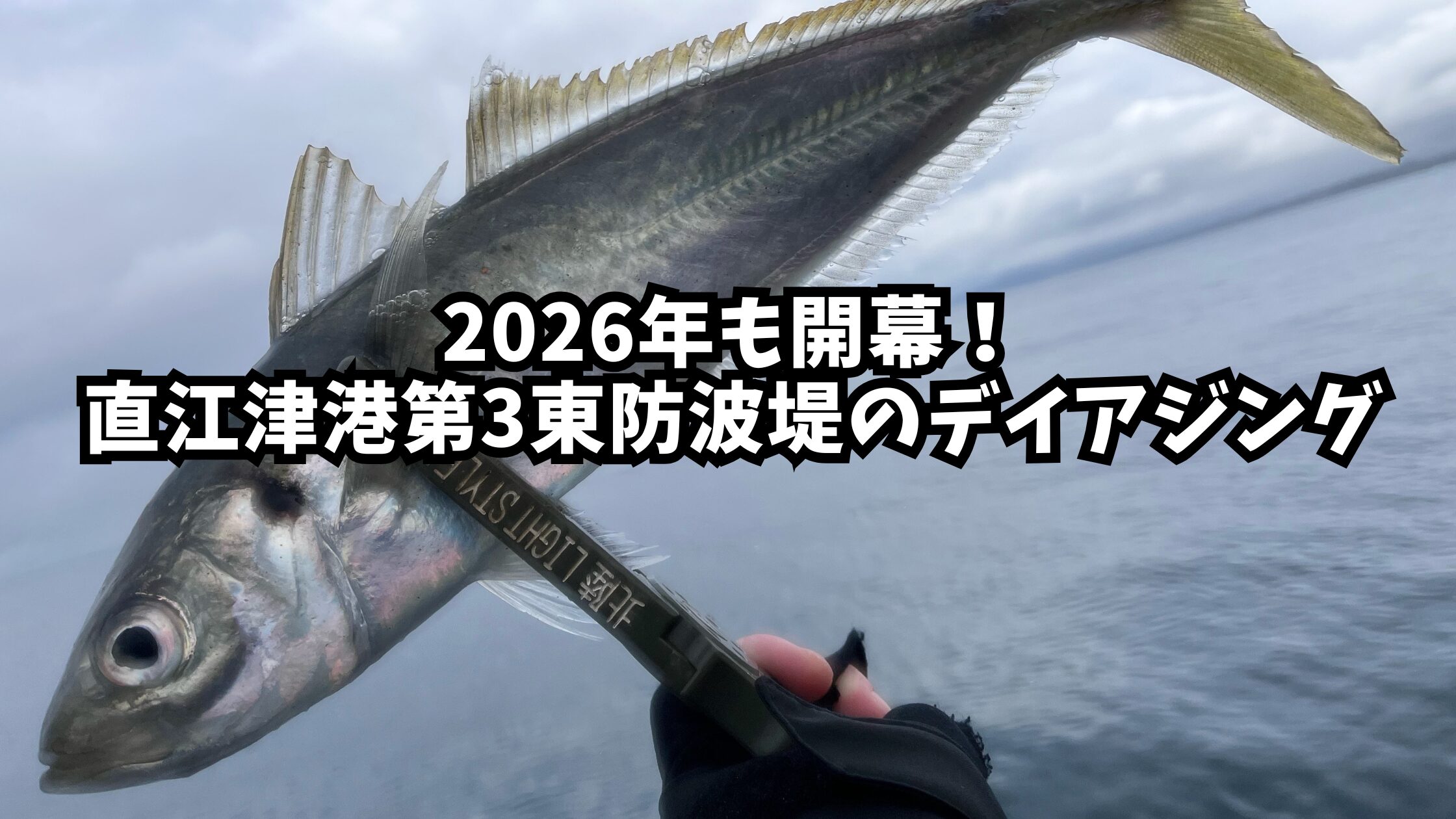 直江津港第3東防波堤のデイアジング_アイキャッチ