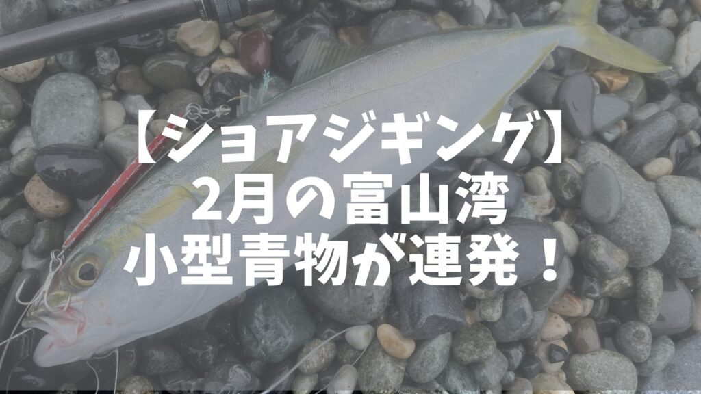 アイキャッチ_ショアジギング