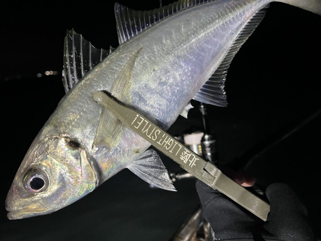 ボートアジング