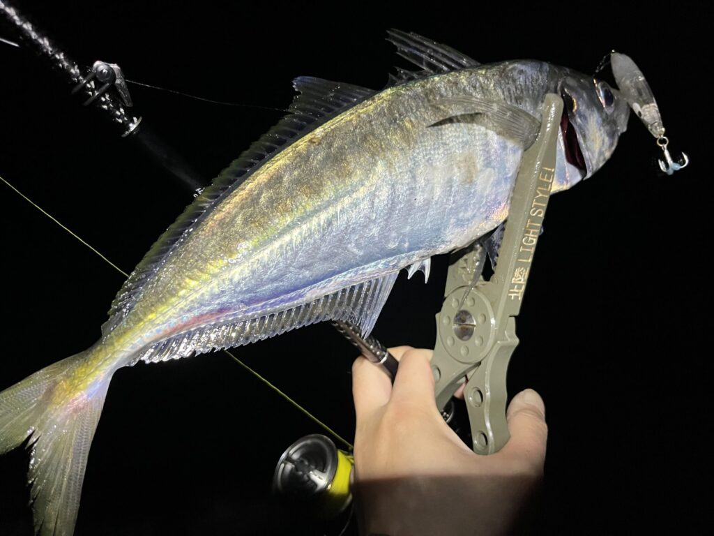 クロストリガーで釣れた尺超えのアジ