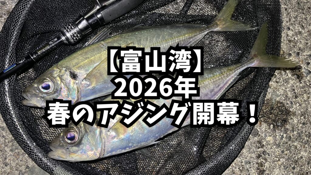 アイキャッチ_2026年春のアジング開幕！