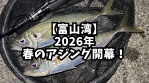 アイキャッチ_2026年春のアジング開幕！