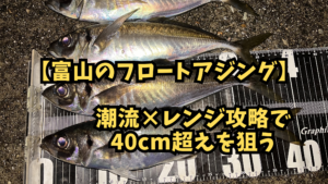 富山湾のフロートアジング攻略-潮流×レンジ攻略で40cm超えを狙うのアイキャッチ画像