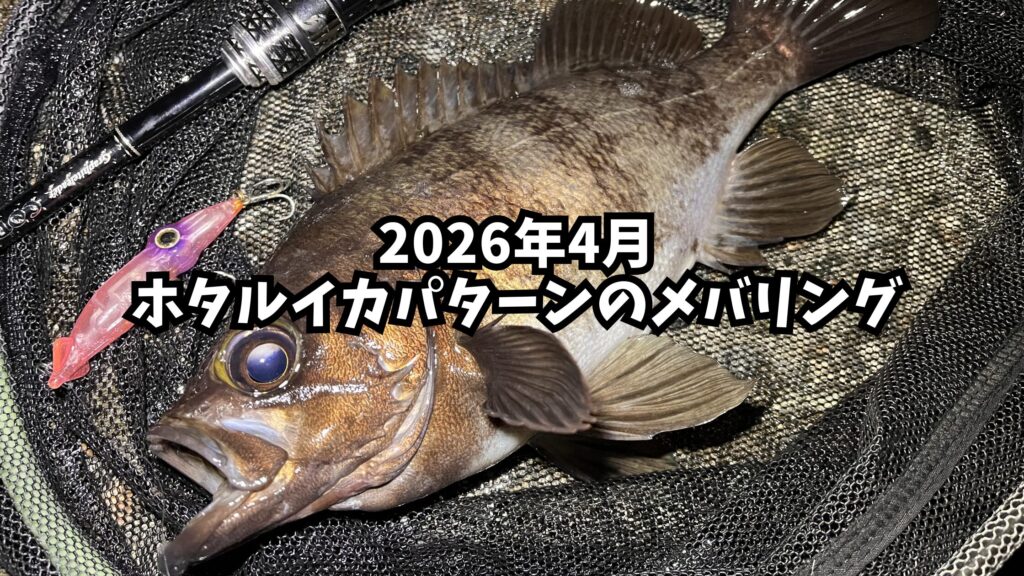 ホタルイカパターンのメバリングのアイキャッチ画像