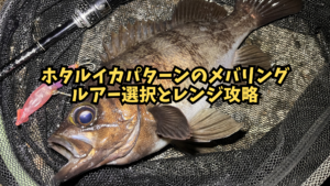 富山湾のホタルイカパターン・メバリング【ルアー選択とレンジ攻略】のアイキャッチ画像