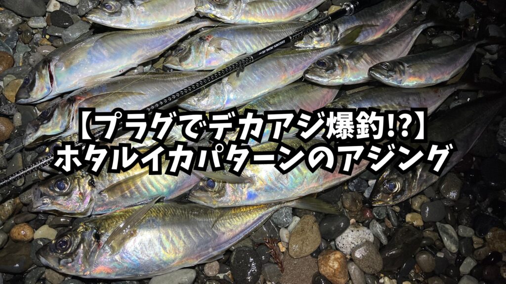 アイキャッチ画像_ホタルイカパターンのアジング