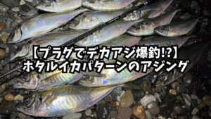 アイキャッチ画像_ホタルイカパターンのアジング