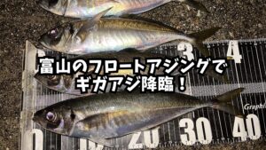 富山のフロートアジングでギガアジ降臨！のアイキャッチ画像