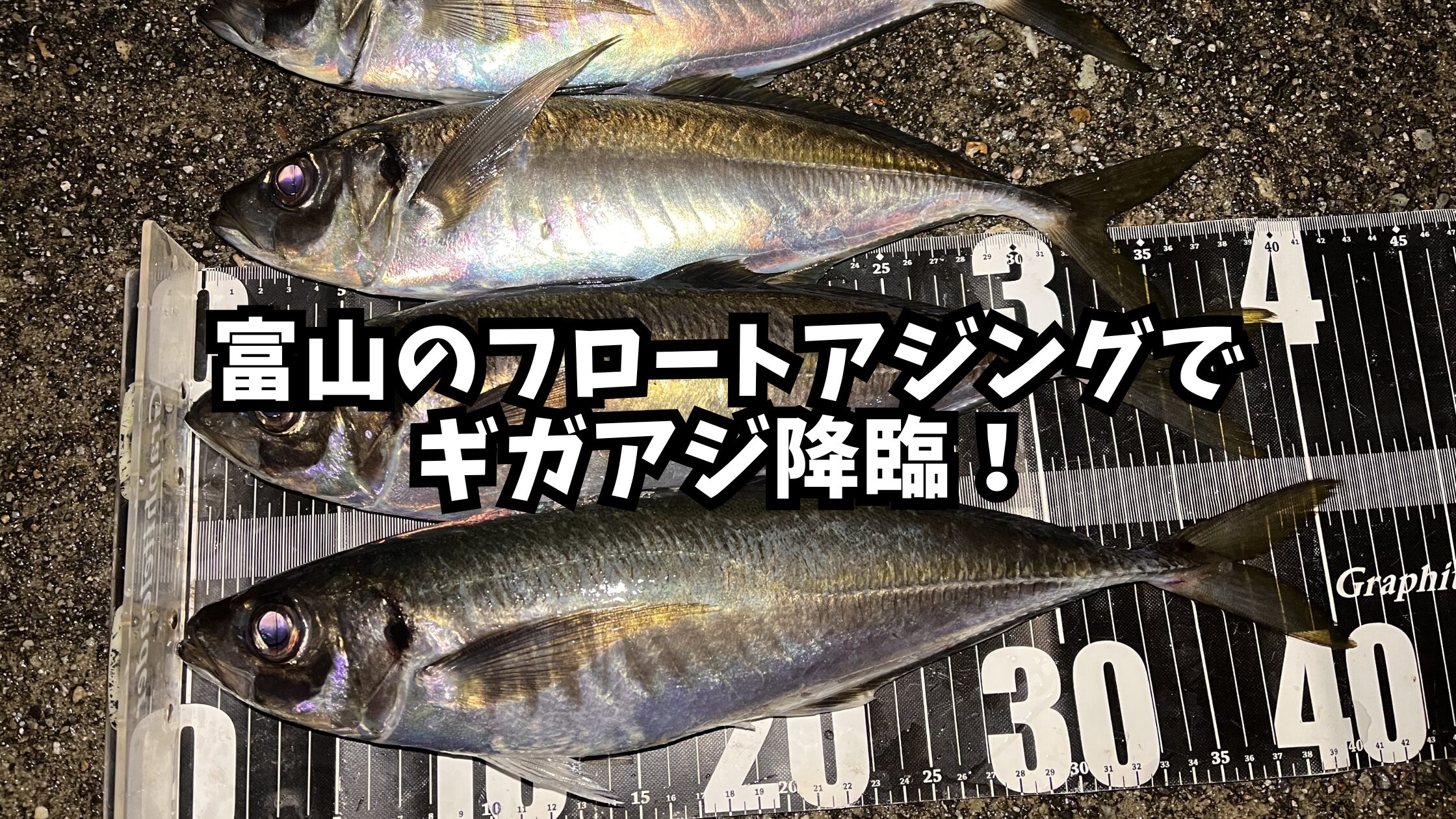 富山のフロートアジングでギガアジ降臨！のアイキャッチ画像