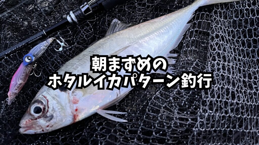 朝まずめのホタルイカパターン釣行のアイキャッチ画像
