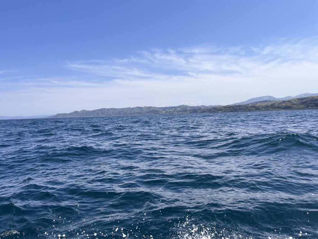釣行日の海況