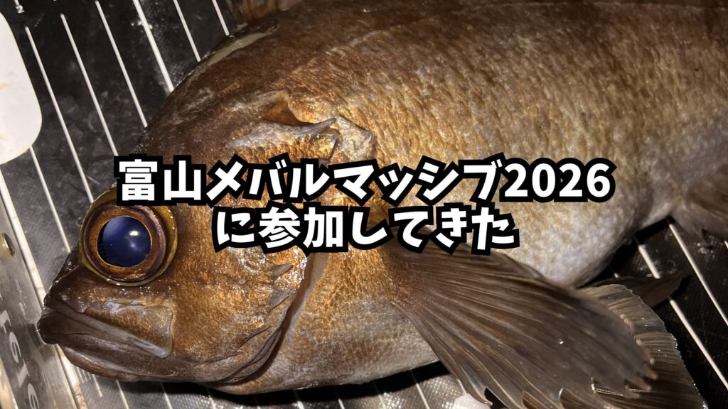 富山メバルマッシブのアイキャッチ画像