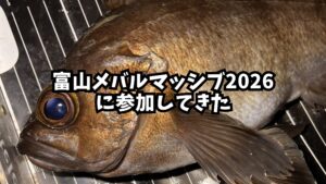 富山メバルマッシブのアイキャッチ画像