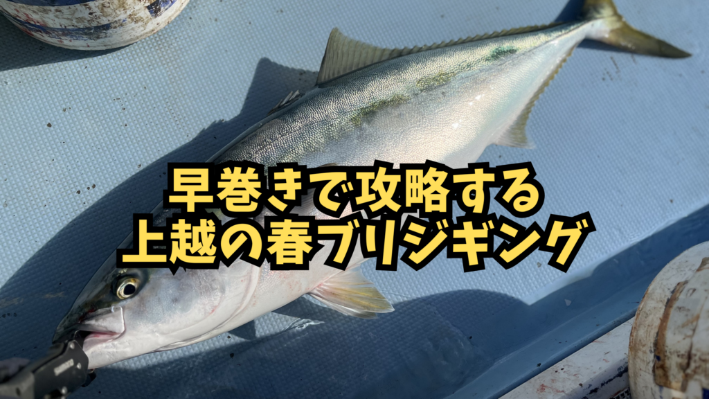 早巻きで攻略する上越の春ブリジギングのアイキャッチ画像