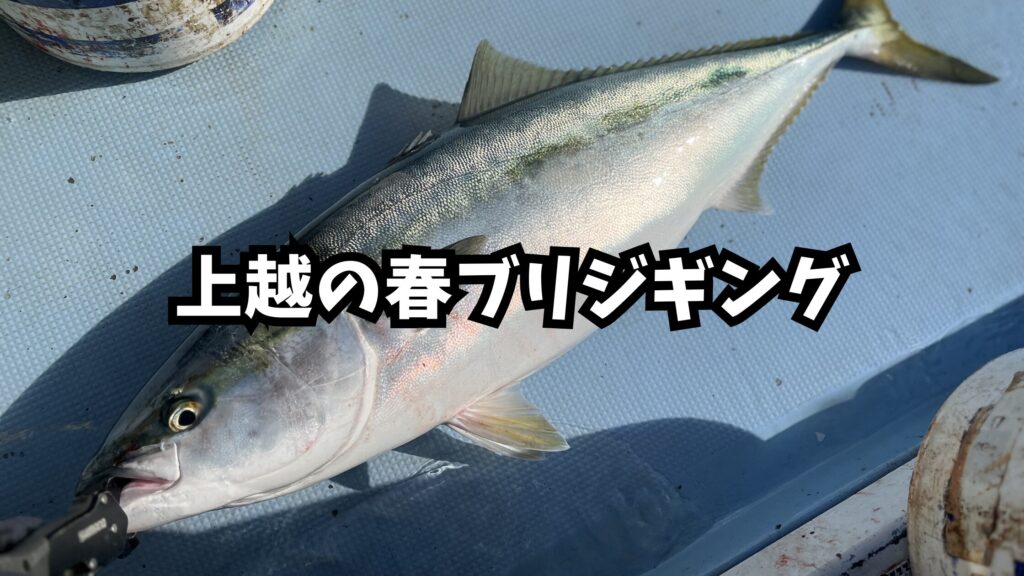 上越のブリジギングのアイキャッチ画像