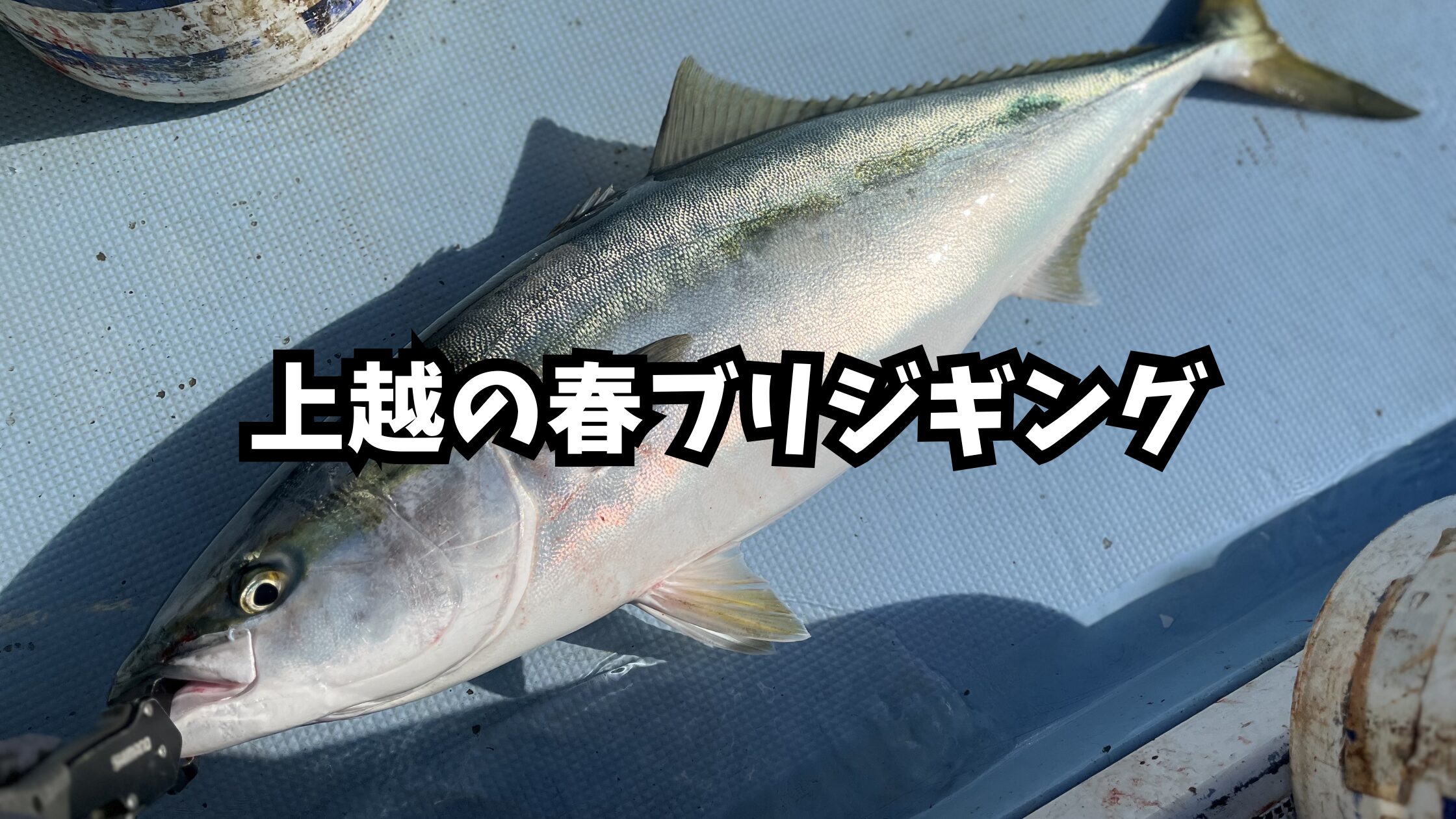 上越のブリジギングのアイキャッチ画像