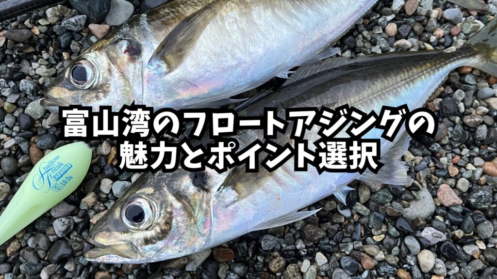 富山湾のフロートアジングの魅力とポイント選択のアイキャッチ画像