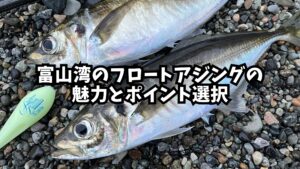 富山湾のフロートアジングの魅力とポイント選択のアイキャッチ画像