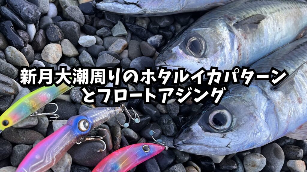 新月大潮周りｍのホタルイカパターンとフロートアジングのアイキャッチ画像