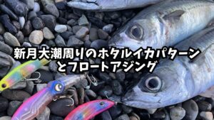 新月大潮周りｍのホタルイカパターンとフロートアジングのアイキャッチ画像