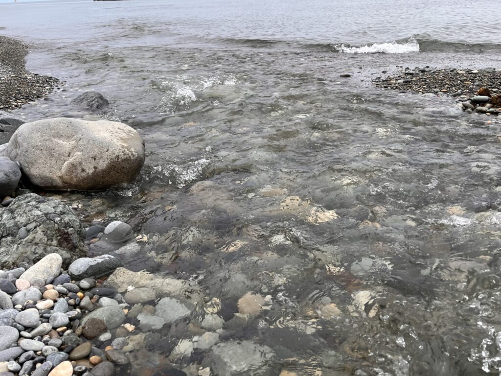 流れ込みの写真