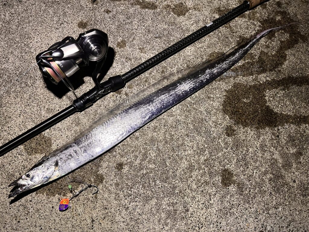 タッチポンで釣れたタチウオの写真