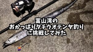 富山湾のおかっぱりタチウオテンヤ釣りに挑戦してみたのアイキャッチ画像