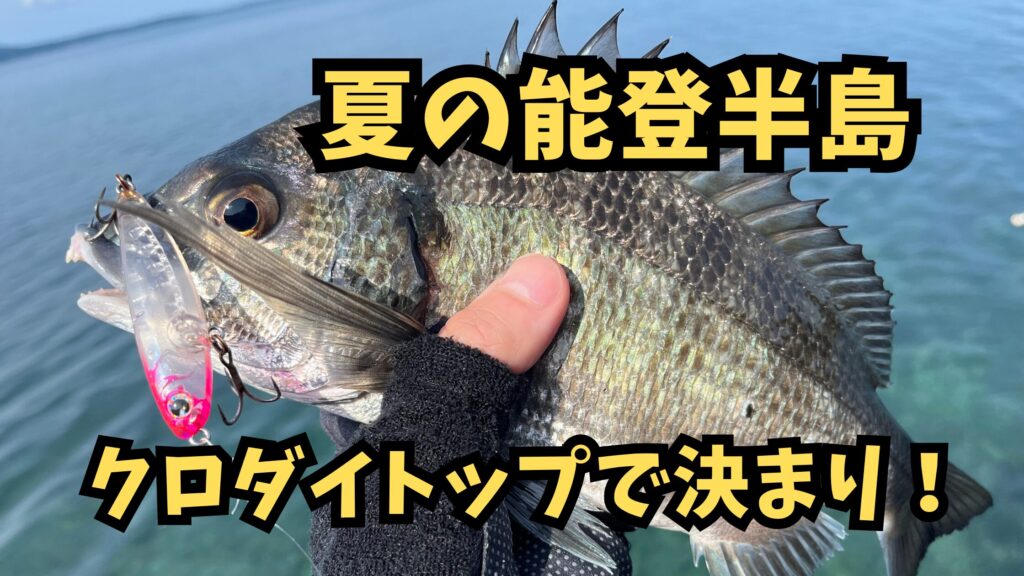 夏の能登半島はクロダイトップで決まり！のアイキャッチ画像
