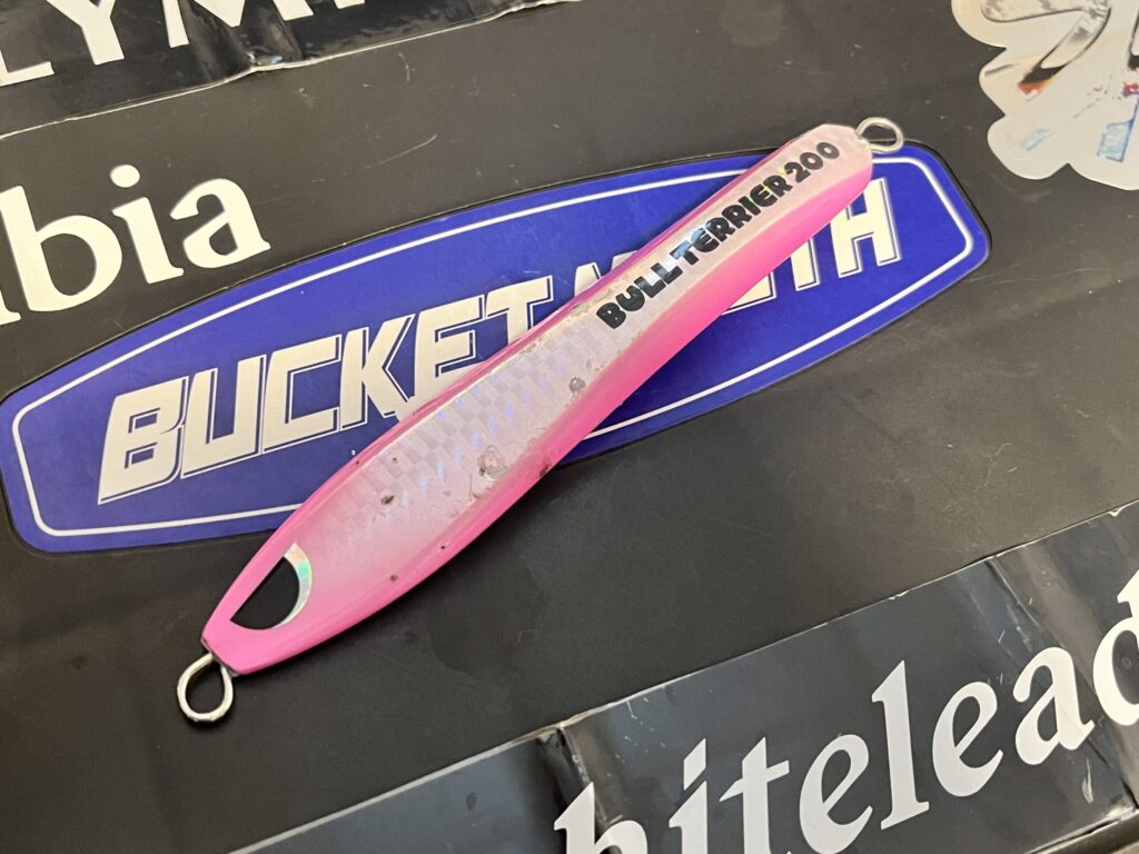 好調にブリが釣れていたブリードのブルテリア